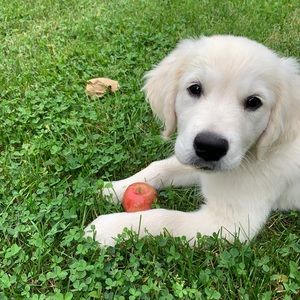 Meet your Posher, Kerry